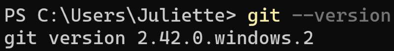 Version Git